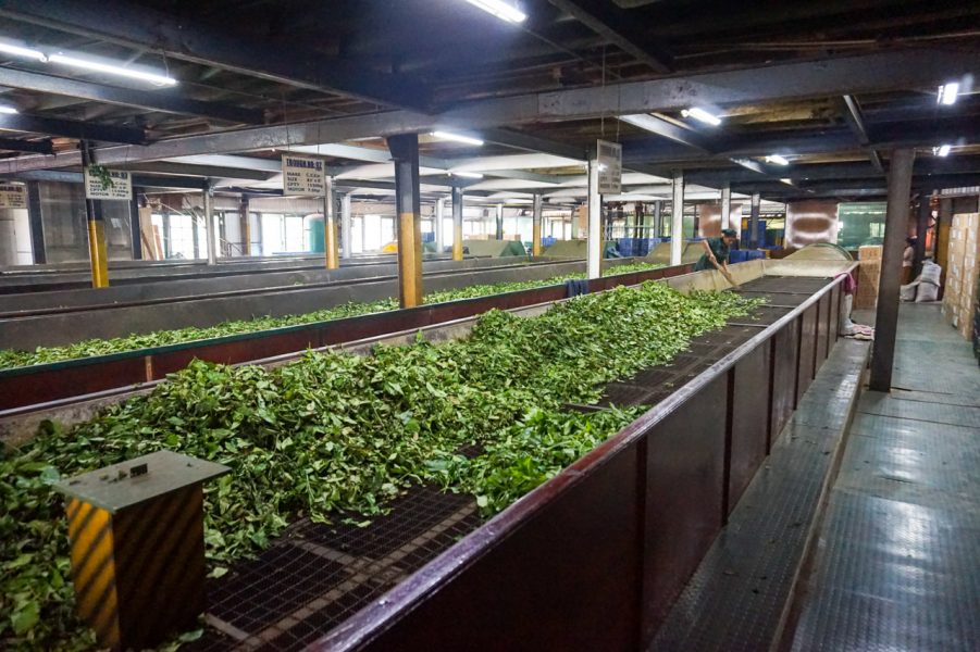 Embilmeegama tea factory