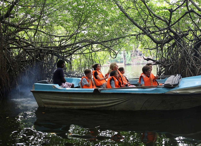 Madu River Safari – OK Lanka Travels